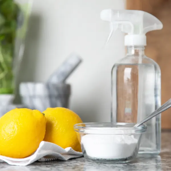 Productos naturales de limpieza